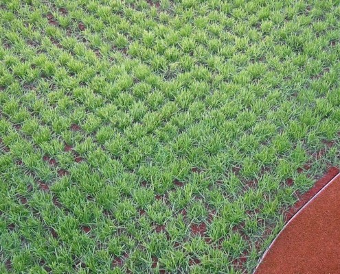 Plac zabaw FLEXI-STEP Bezpieczna Kratka 100 mm, HIC = 3,0 m PLAY-PARK