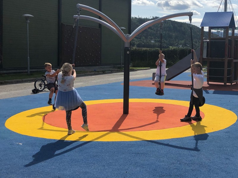 Plac zabaw Karuzela słupowa Monsoon 4 PLAY-PARK