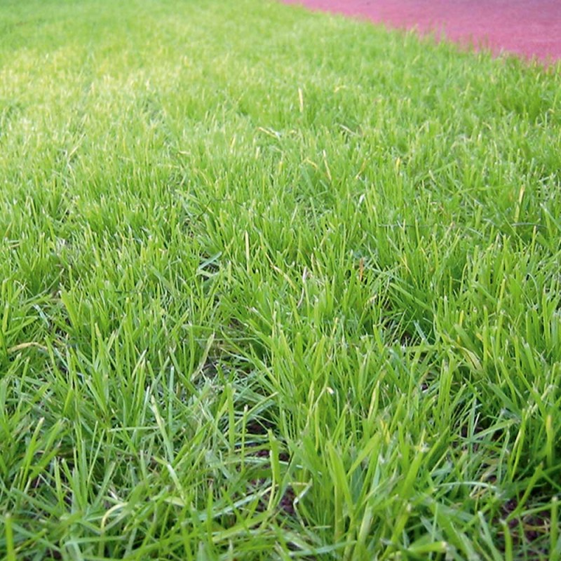 Plac zabaw FLEXI-STEP Bezpieczna Kratka EPDM 65 mm, HIC = 2,1 m PLAY-PARK