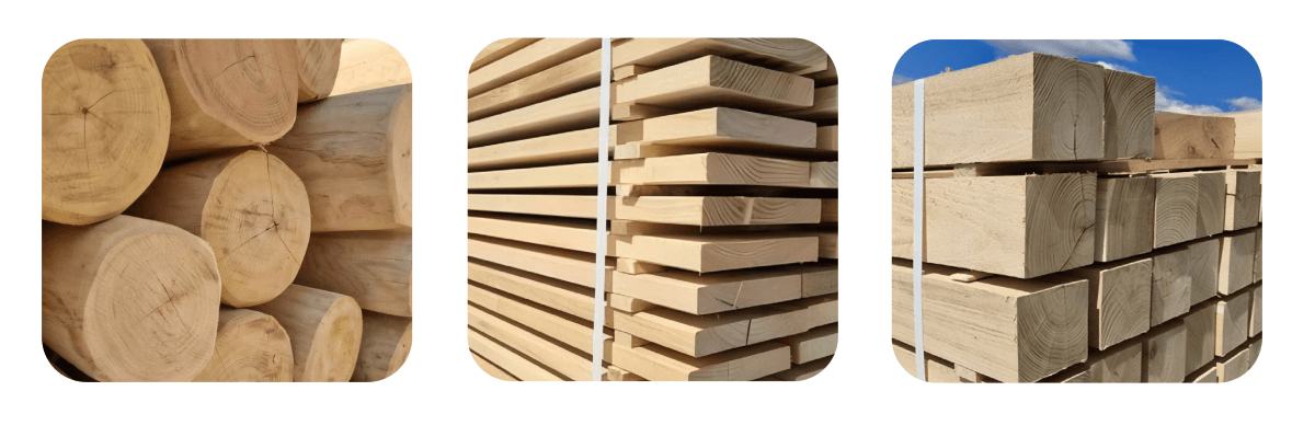robinia wood inter-play